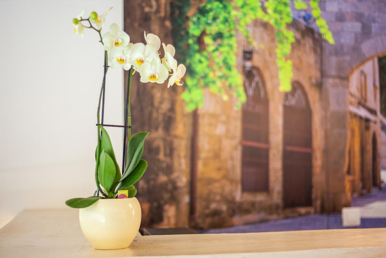 Casa Artemida Boutique Hotelファリラキ エクステリア 写真
